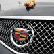 Illustration for article titled Cadillac CTS-V Coupe: Eating Your Way To A Burnout